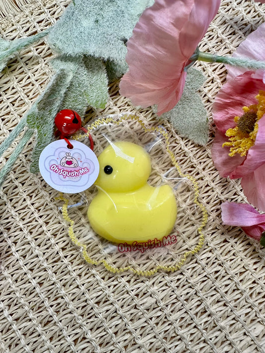 Pretty Little Duckling